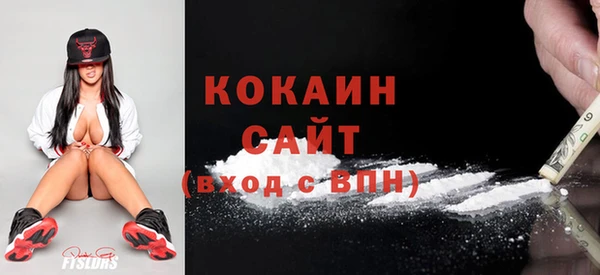 сатива Елизово