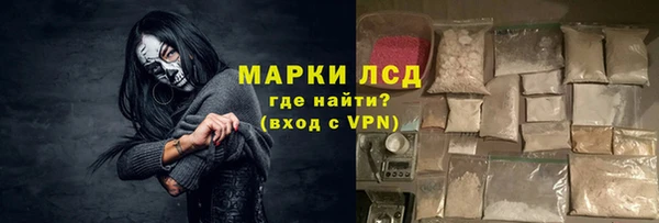шишки Заволжье