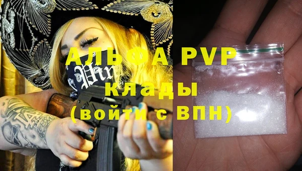 ПСИЛОЦИБИНОВЫЕ ГРИБЫ Ельня