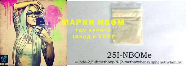 сатива Елизово