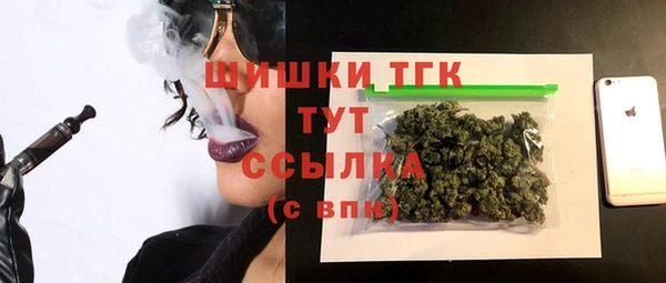 шишки Заволжье
