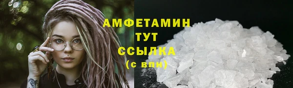 ПСИЛОЦИБИНОВЫЕ ГРИБЫ Ельня