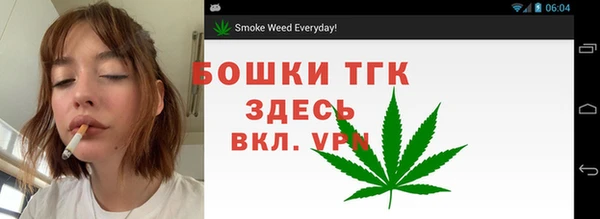 дурь Заводоуковск