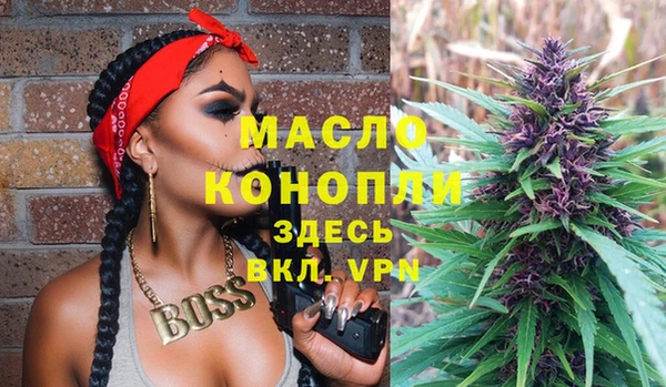 сатива Елизово