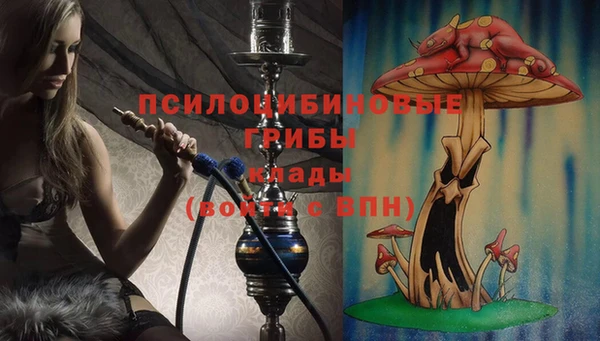 сатива Елизово