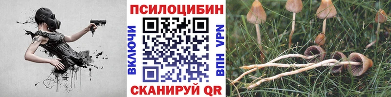 Купить закладки  Голицыно  Псилоцибиновые грибы Psilocybe 